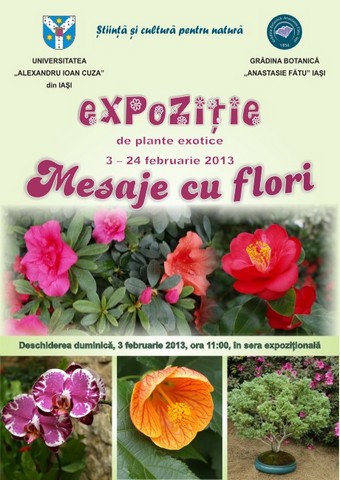 Expozitia Mesaje cu flori de la Gradina Botanica Iasi va fi deschisa in perioada 3 – 24 februarie! Sunt expuse specii de plante exotice cultivate in complexul de sere
