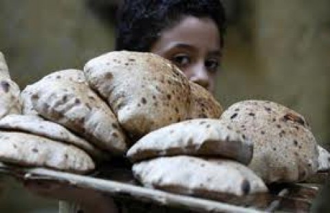 Egiptul vrea sa rationalizeze painea. Guvernul de la Cairo vrea sa instituie un sistem prin care egiptenii sa primeasca o ratie lunara de paine pe baza unei cartele