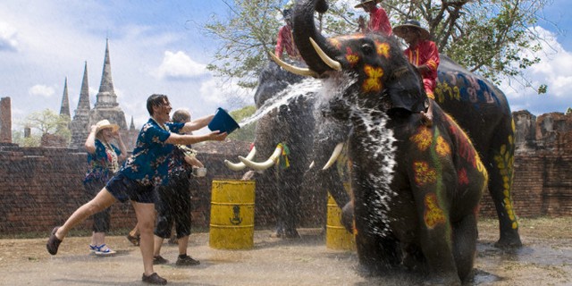 Elefantii, ajutoare de nadejde la organizarea festivitatilor de Anul Nou thailandez