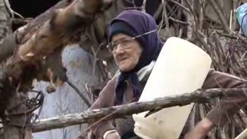 O batrana de 80 de ani din satul Tomesti, Iasi, vinde urzici in piata ca sa-si creasca cele doua nepoate. Singura sursa de venit a batranei este pensia de 350 de lei (Video)