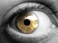 Descoperire!  Anumite picaturi pentru ochi, concepute pentru scaderea colesterolului, pot preveni una dintre cele mai comune forme de orbire