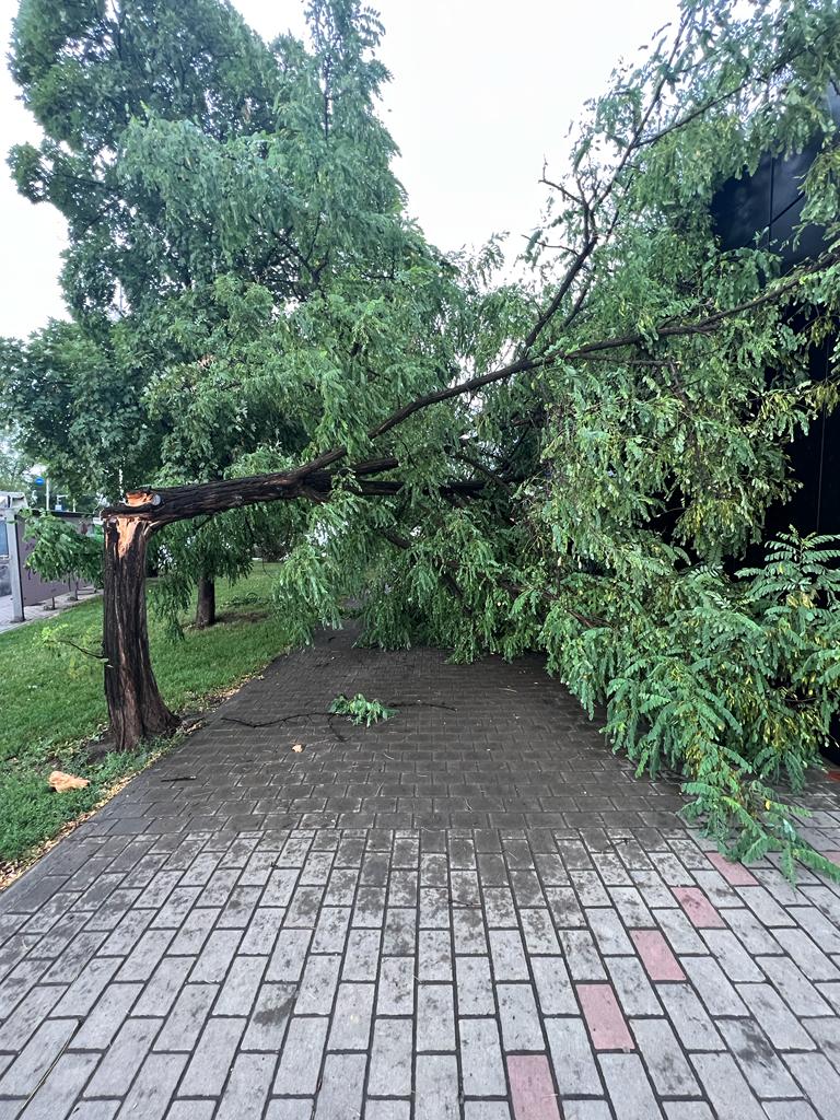 Concluziile furtunii de câteva minute de ieri din Iași
